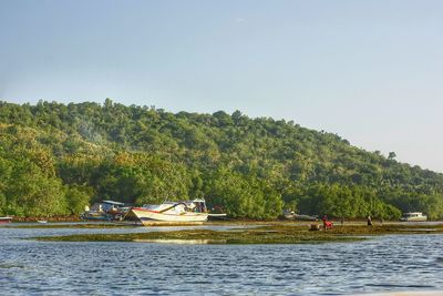 Scenic view of river against clear sky