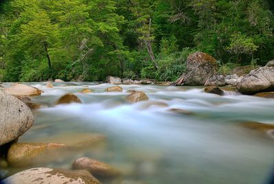 Stream flowing through rocks in forest