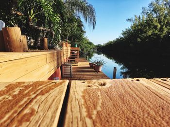 Palm trees against sky