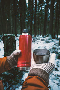 Midsection of man holding ice cream in forest