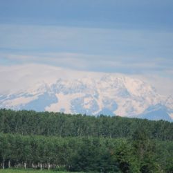 Scenic view of field and mountains against sky