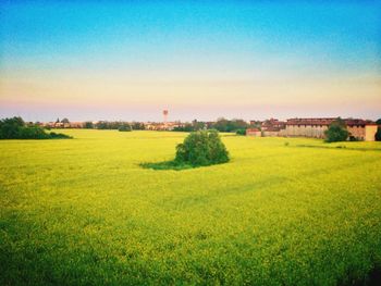 Scenic view of grassy field against sky