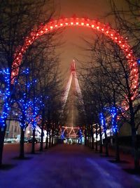 View of illuminated trees at night