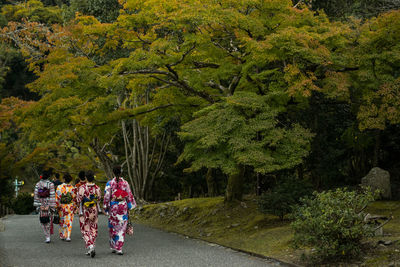 Rear view of people walking by plants