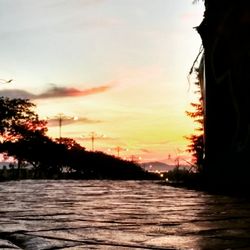 Scenic view of silhouette trees against sky during sunset