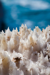 Close-up of frozen sea