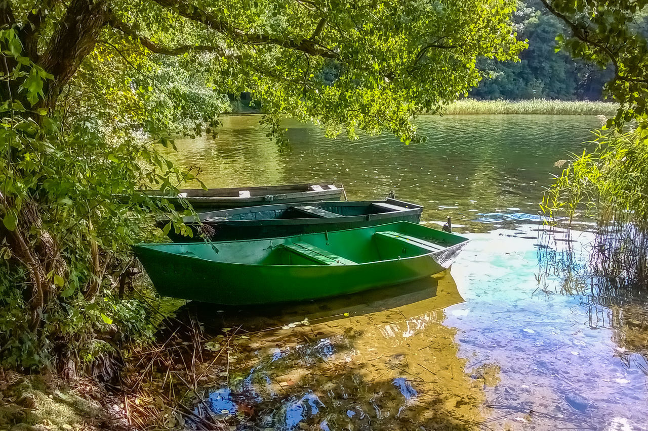 water, plant, nautical vessel, tree, nature, boat, river, transportation, mode of transportation, day, moored, no people, growth, green, vehicle, tranquility, beauty in nature, canoe, reflection, waterway, watercraft, boating, pond, outdoors, wilderness, tranquil scene, sunlight, stream, leaf, rowboat, land, scenics - nature