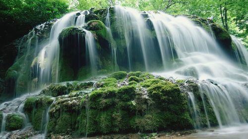 Scenic view of waterfall in forest