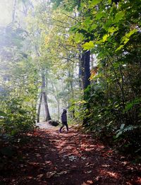 Rear view of woman walking in forest