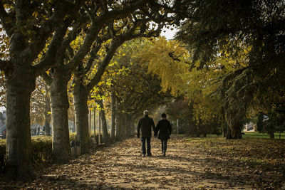 Rear view of people walking in autumn