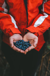 High angle view of man holding fruit