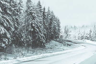 Snow covered road in winter