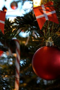 Close-up of christmas decorations hanging on tree