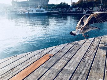 Low section of pier over lake