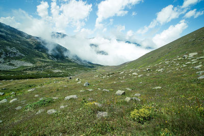 Scenic view of landscape against sky