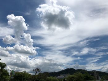 Low angle view of trees against sky