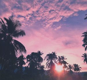 Low angle view of silhouette palm trees against romantic sky