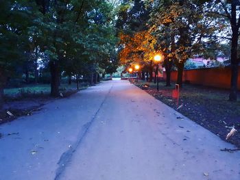 Road in winter at night