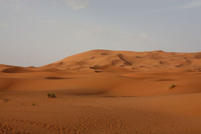 Scenic view of desert