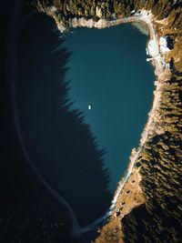 Aerial view of trees by sea in sunny day