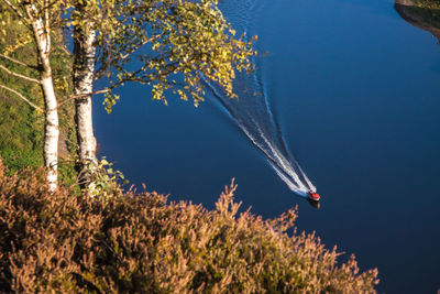 Scenic view of tree during autumn