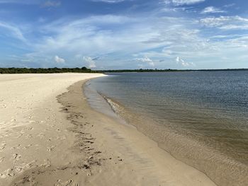 Amazon beach river against the sky