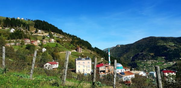 Trees and townscape against blue sky