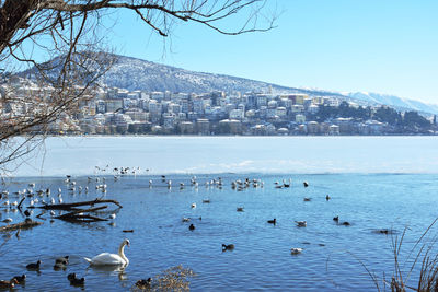 Beautiful scenery with snowy town of kastoria and lake orestiada in greece