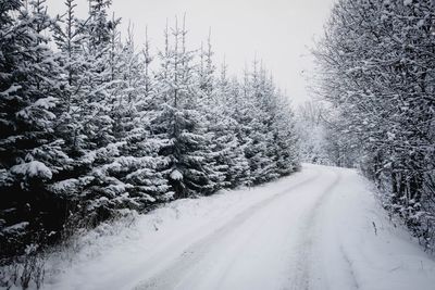 Snow covered road amidst trees during winter