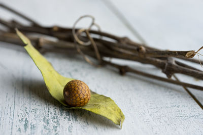 Close-up of nut with leaf on wooden table