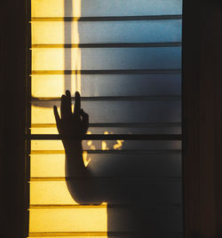 Shadow of person hand on window