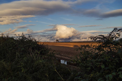 Scenic view of landscape against sky