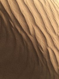 Full frame shot of sand dune