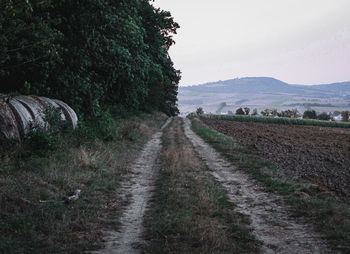 Road amidst agricultural field against sky