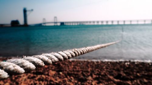 Close-up of sea shore against sky