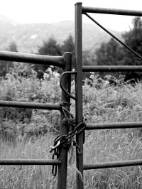 Close-up of barbed wire against sky