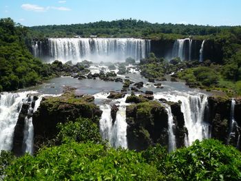 Scenic view of waterfall in forest