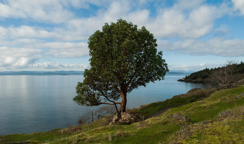 Scenic view of lake against cloudy sky