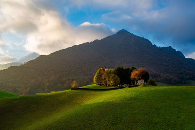 Scenic view of field against mountain