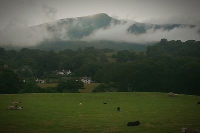 Scenic view of landscape against sky