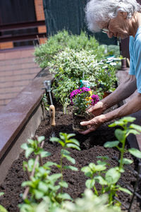 Elderly woman planting flowers in small terrace garden