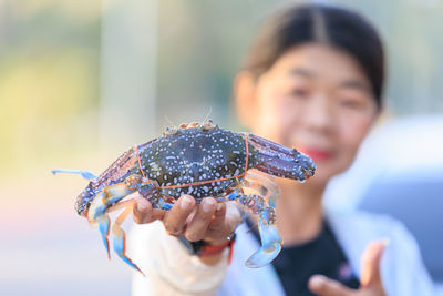 Close-up of hand holding fish