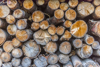 Full frame shot of logs in forest