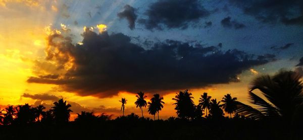 Low angle view of silhouette trees against orange sky