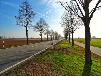 Road by bare trees on field against sky