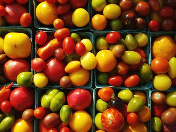 Full frame shot of colorful candies for sale