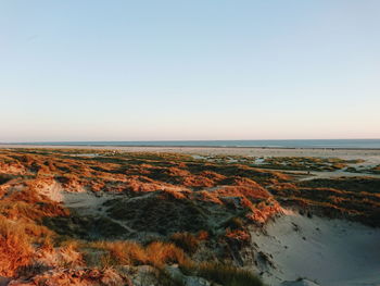 Scenic view of sea against clear sky