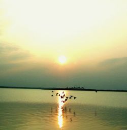 Scenic view of sea at sunset