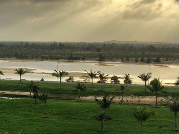 Scenic view of field against sky