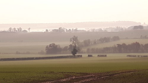 Scenic view of agricultural field against clear sky